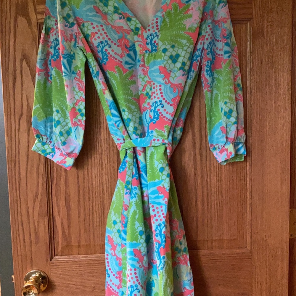 Lilly silk dress